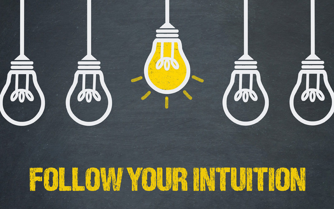 Following Intuition Led Me To Silicon Halton